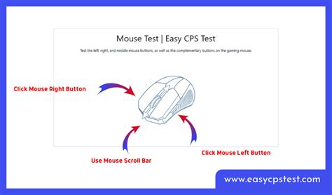 마우스 버튼 테스트: 디지털 시대의 필수 의식